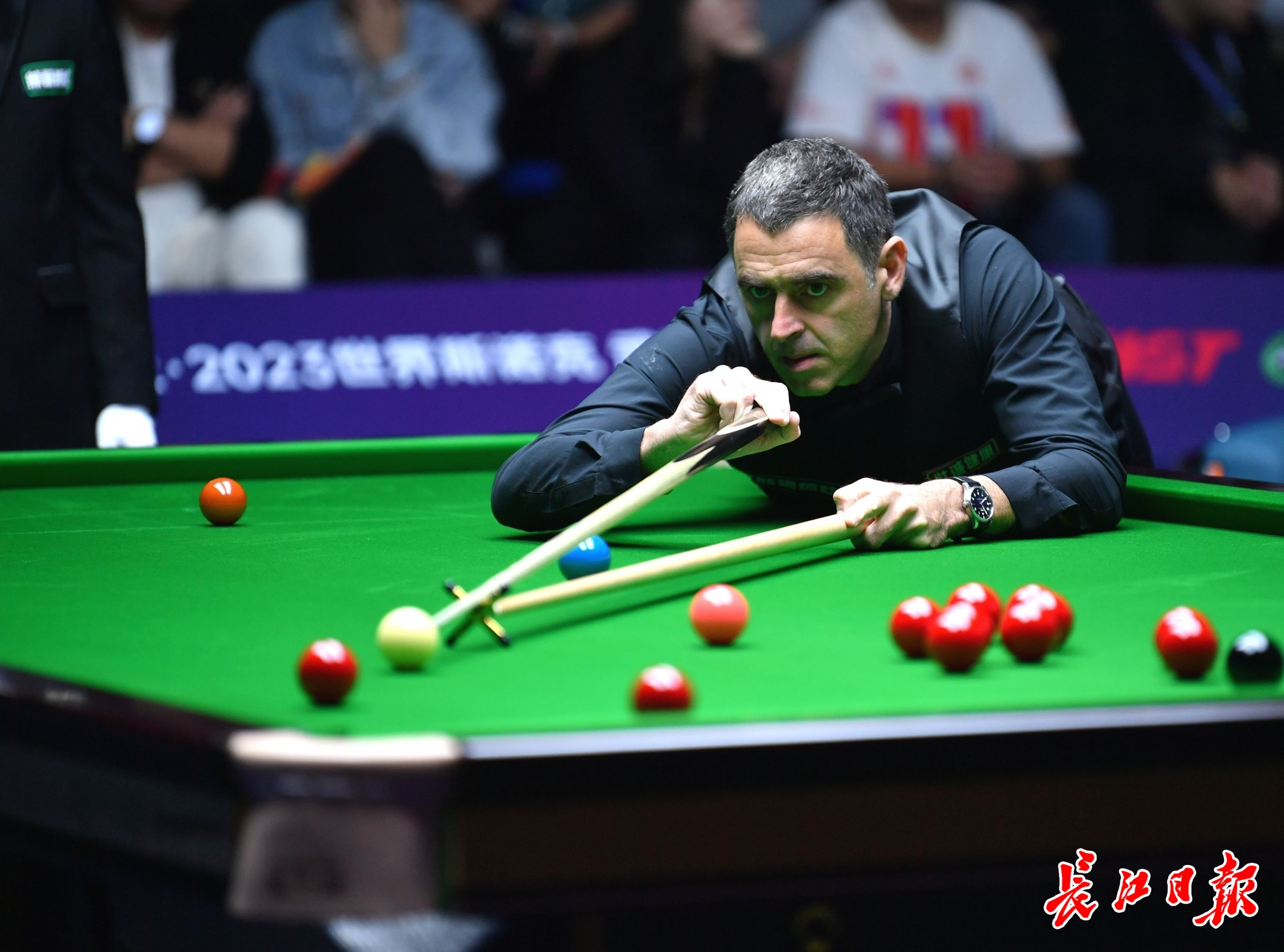 则在于篮板 则在于篮板